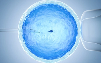 intra cytoplasmic